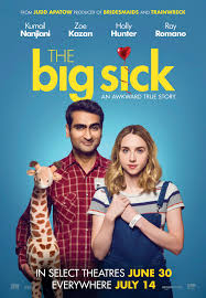 the big sick poster